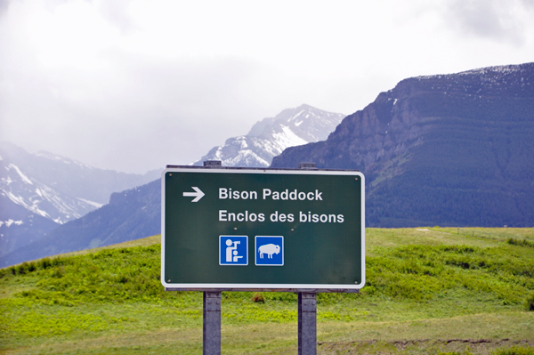 directional sign to see bison